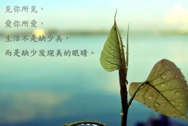 dcc49e8847cc4c949a105759f325225f.jpeg