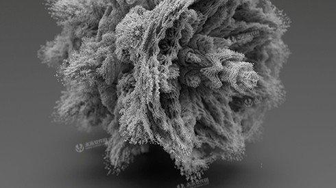 C4DtoA for Cinema 4D R20 Mac(Arnold阿诺德渲染器)