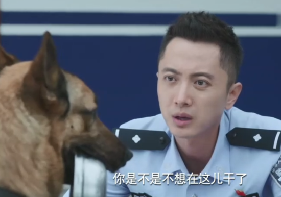 警犬来啦 e31e9db542324596902a310ce784db7a.png