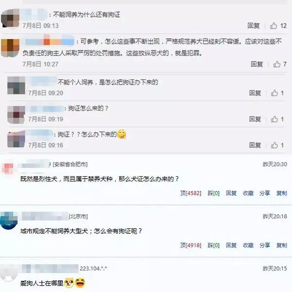 大狗咬伤日籍女子,网友却更关注:这是禁养犬,咋办的狗证?