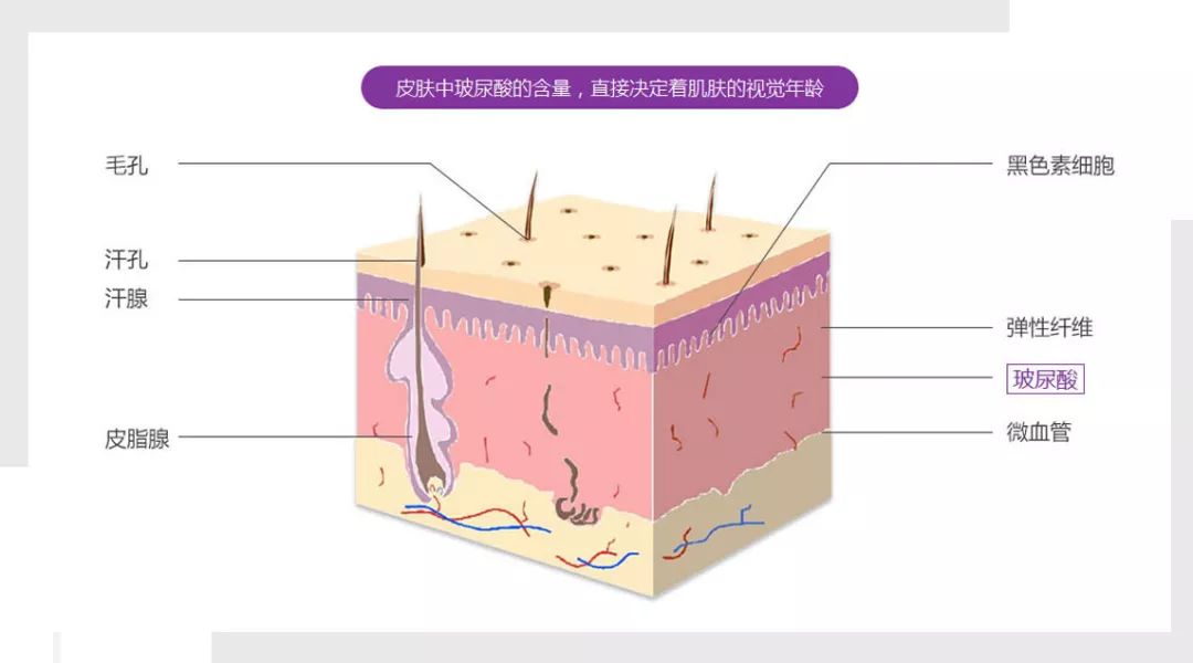 阳病治阴利用什么原理_阴疽是什么病