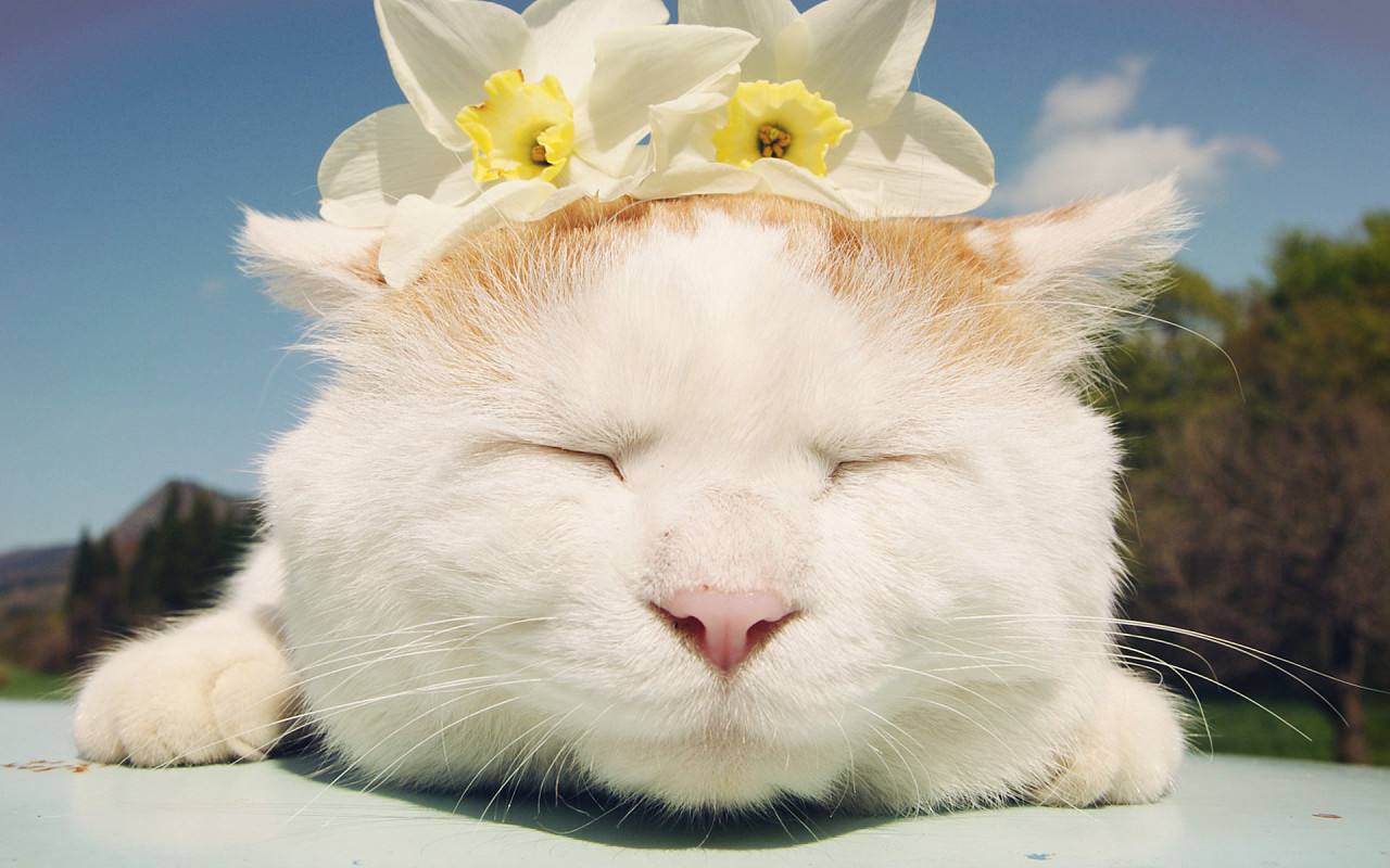 丹妮的日常全集 f90a60f391d84ccea7ffa56481569bfc.jpeg