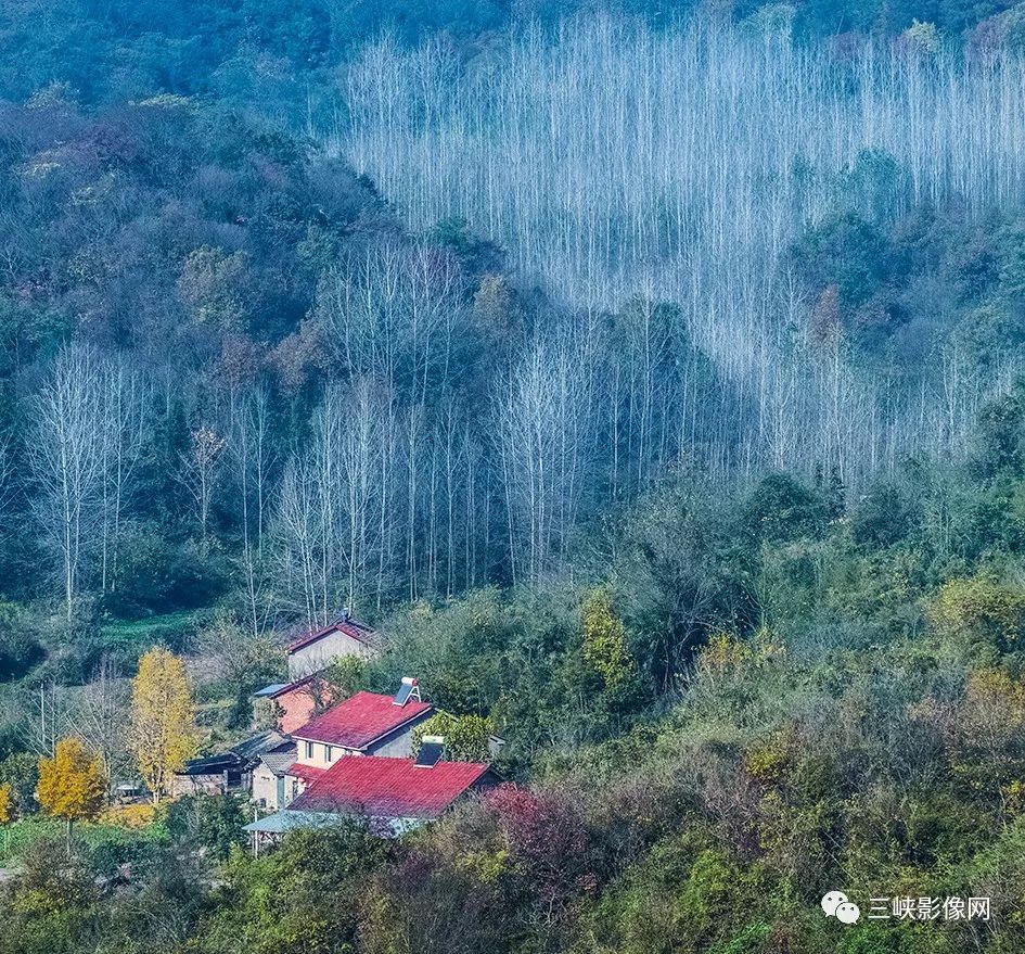 《水墨百宝寨(组照 林秀珍玉泉寺(组照 廖山关公文化园的残阳 厉