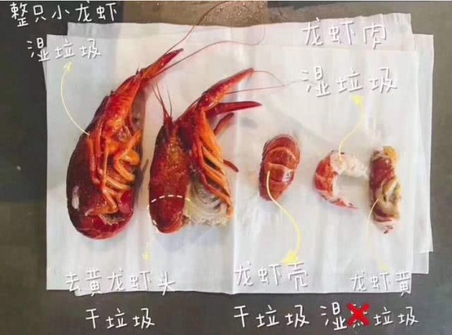 答案揭晓:小龙虾壳,虾肉,虾黄,统统都是湿垃圾.