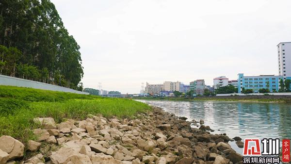 沿河村人口_枞阳镇沿河村李友旺