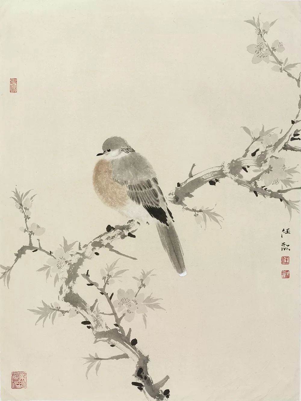 通透清雅冷逸温文中国花鸟画家任欢