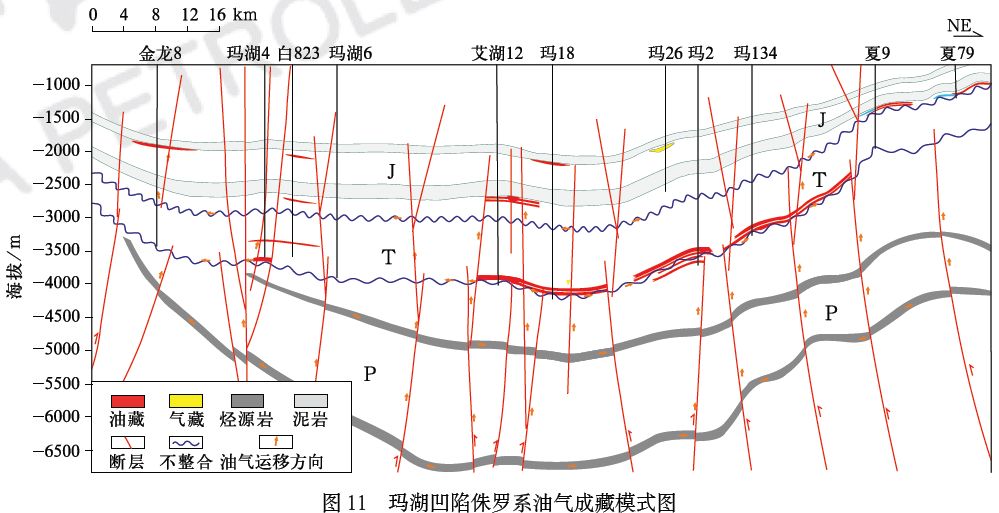 准噶尔盆地人口特点_准噶尔盆地