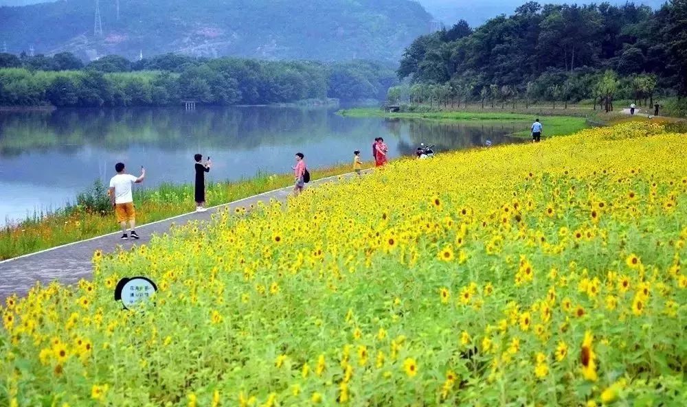 天台多少人口_台湾有多少人口(3)