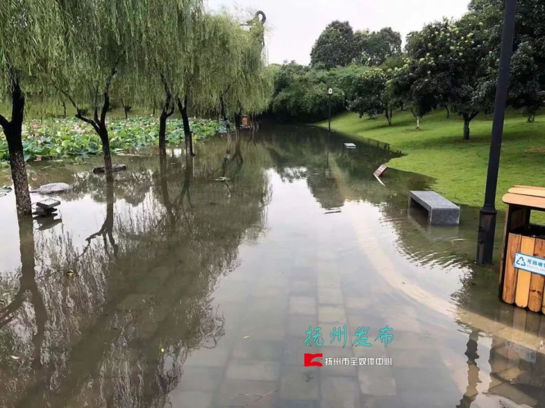抚州市区人口70万_抚州市区(2)
