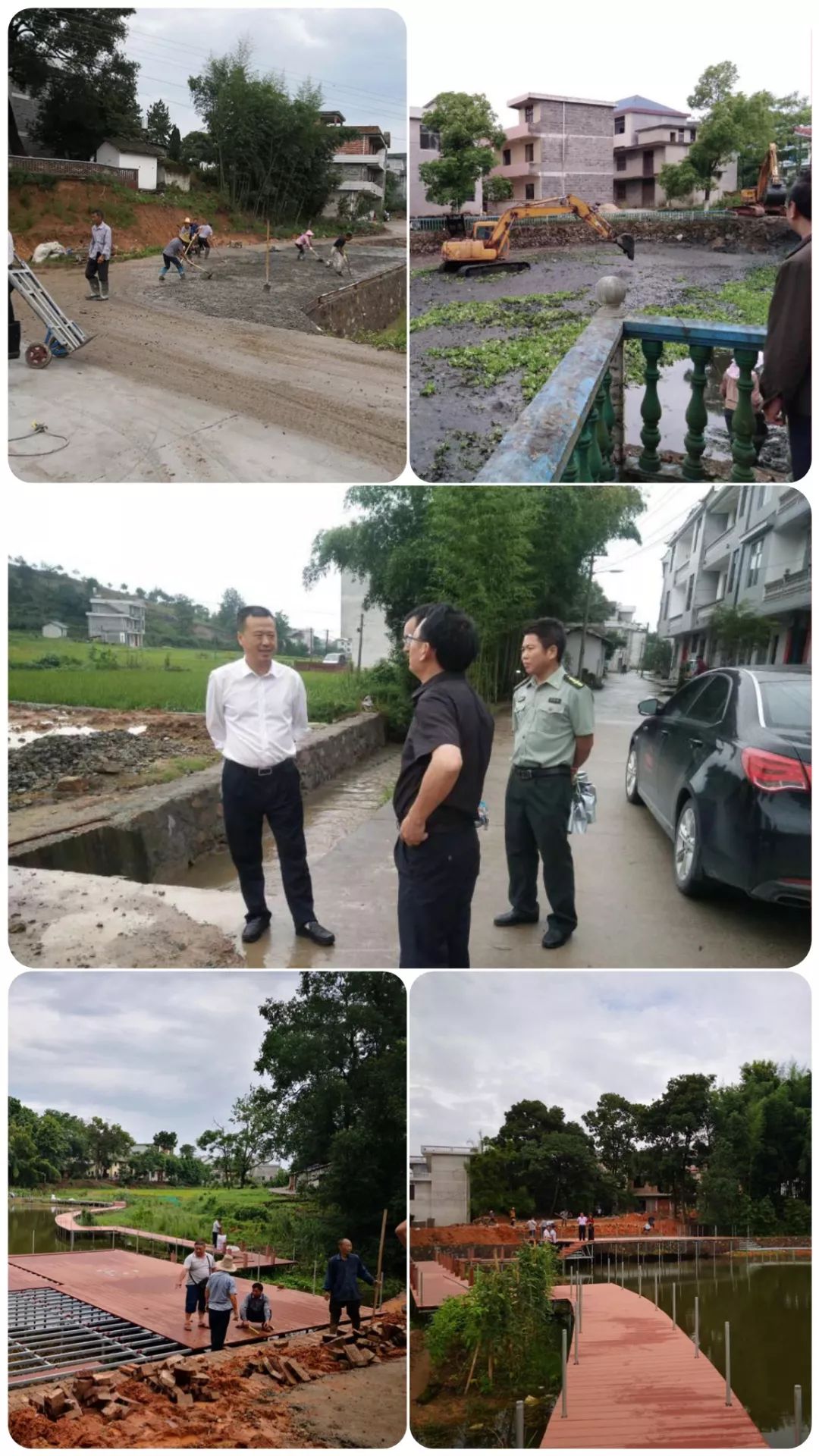 碧洲镇人口_人口普查图片