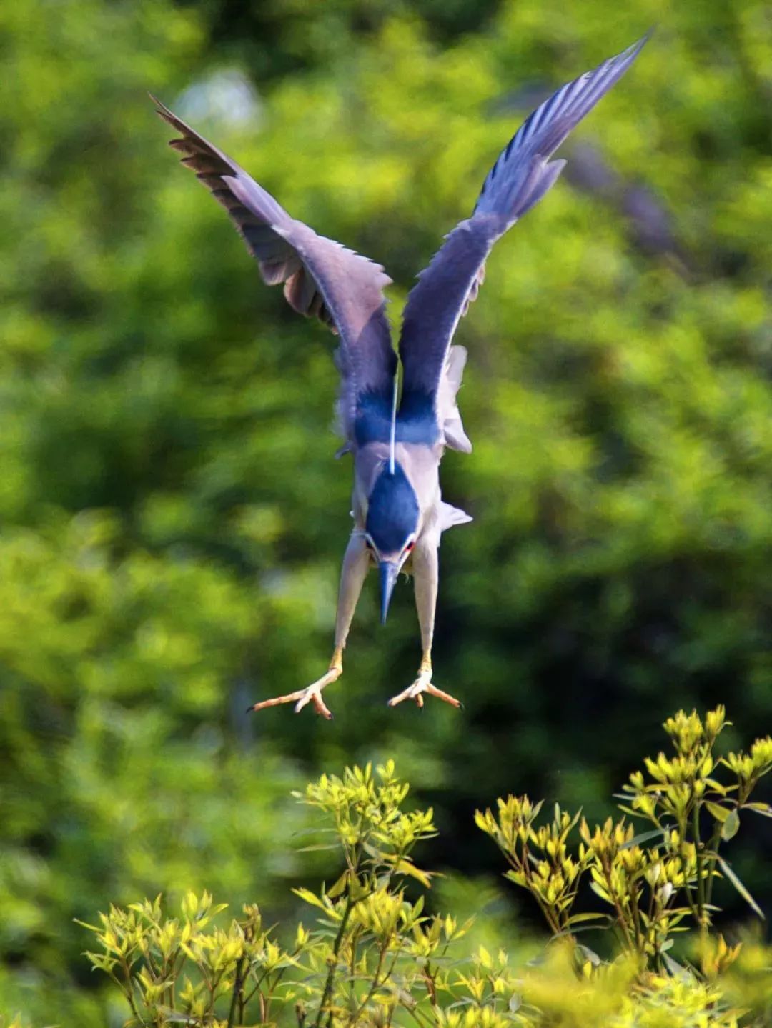 什么时候捡蜈蚣最好 0c24ab163b3d4b23b970e4231330eb2b.jpeg