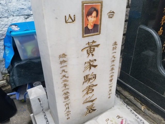 黄家驹墓碑被刻字 许大大是谁还刻上家人的名字,鞠萍老公