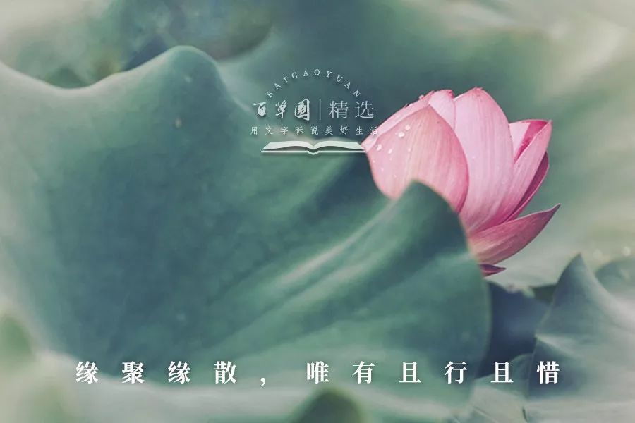 夜读:缘聚缘散,唯有且行且惜