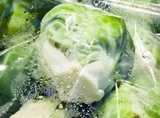 绿叶蔬菜放冰箱密封吗 12e3834ad42a4dc29121e8f37fa412d4.jpeg