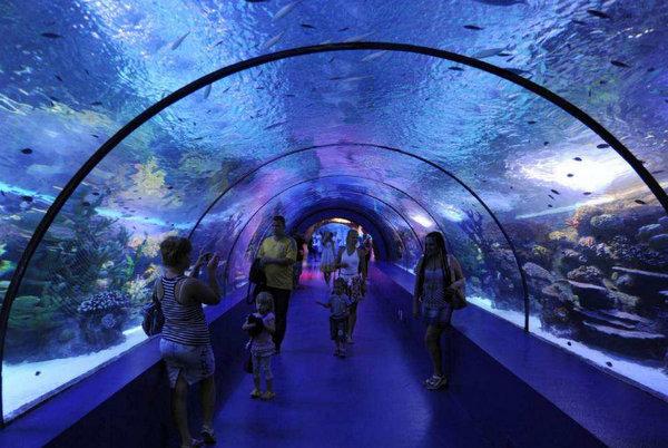 全球10大海洋馆上海海洋水族馆上榜你去过游玩过吗