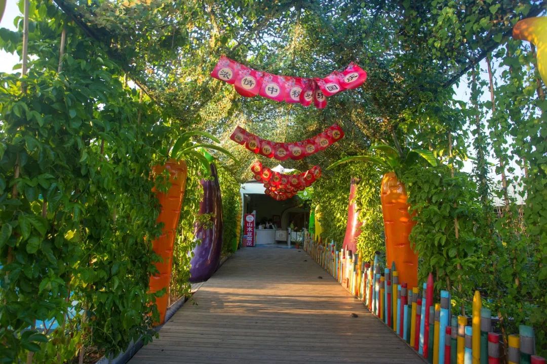 田园的生活音乐 1d13db2bce774bc7ae6f754bc249229c.jpeg