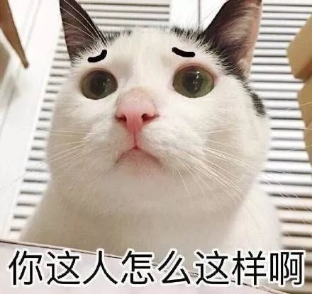 28692c1d466e4ac9a98b90901b9d3226.jpeg