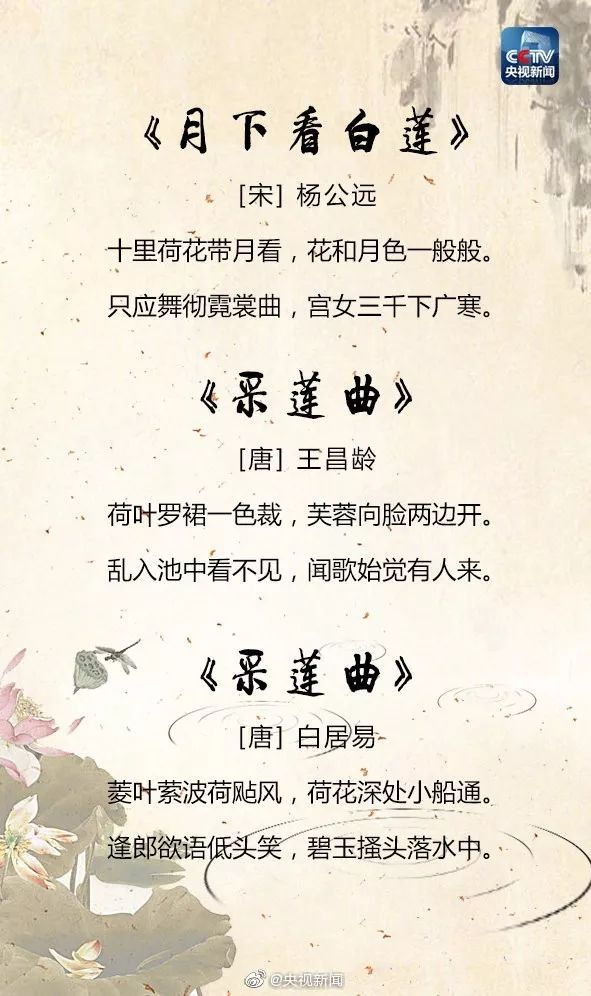 最美诗词文案 2ee164629ddc4443a7a42bb2c0104315.jpeg