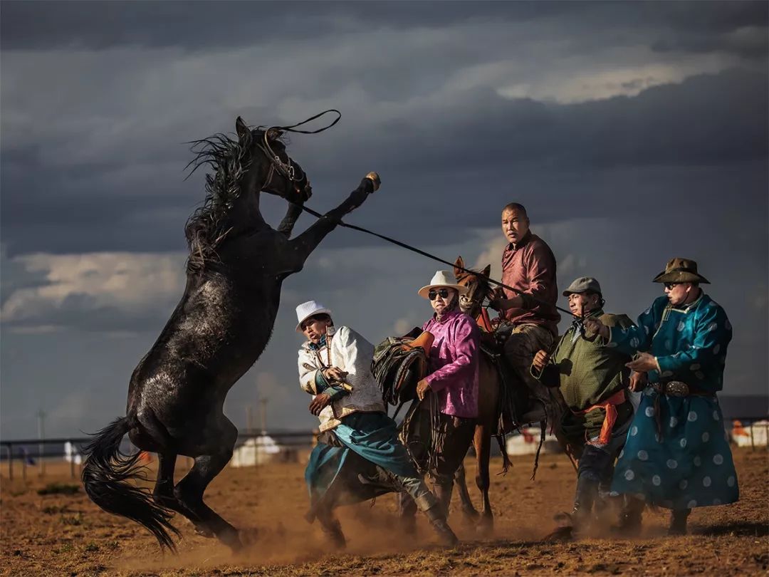 哈萨克族马上竞技-体育非物质文化遗产