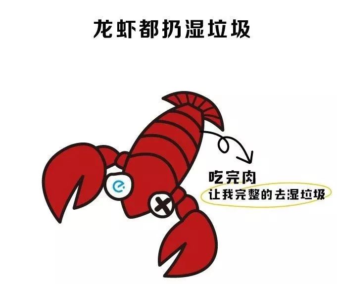 当杭州旅游遇上垃圾分类
