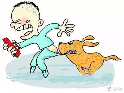                     原创            暑期安全攻略之：路边的“玩具”不要睬，否则......