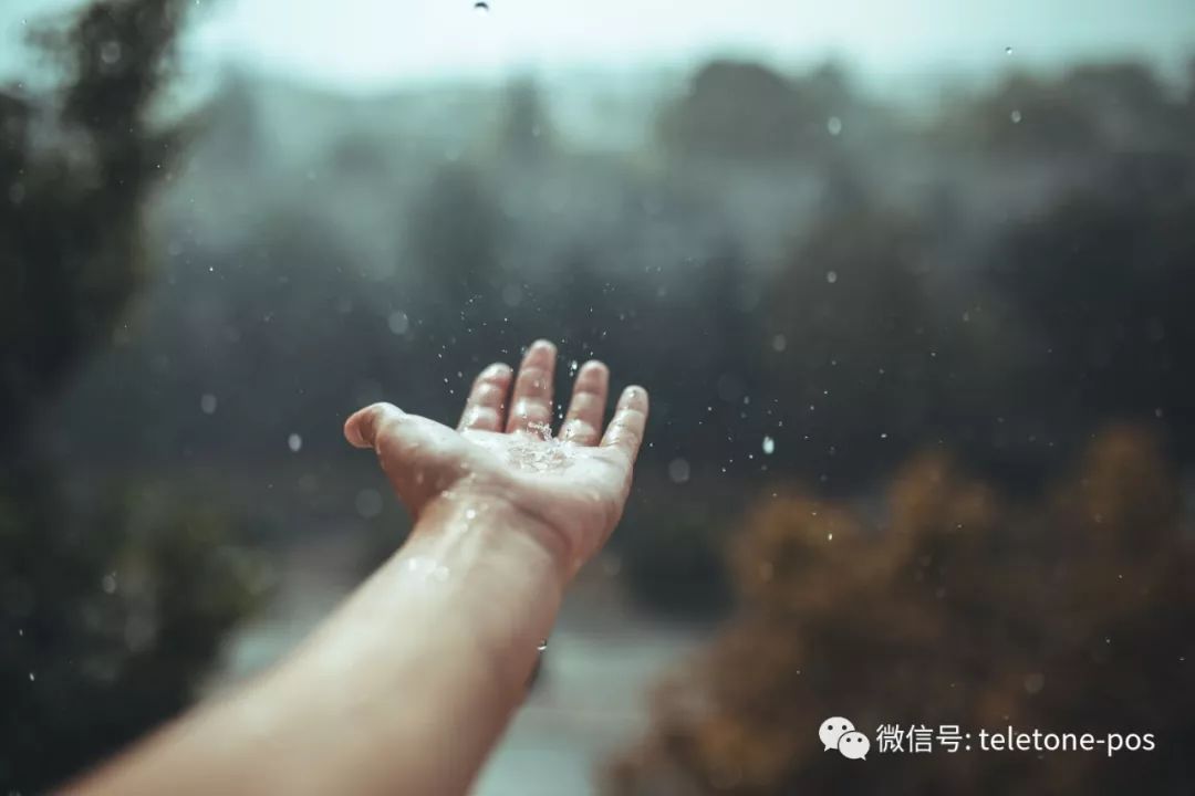 374bfd2aaf964238bcb969dd5d1a50ab.jpeg