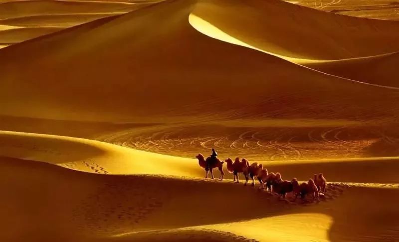 37c97befee4949e2a198ab7f52fdf702.jpeg