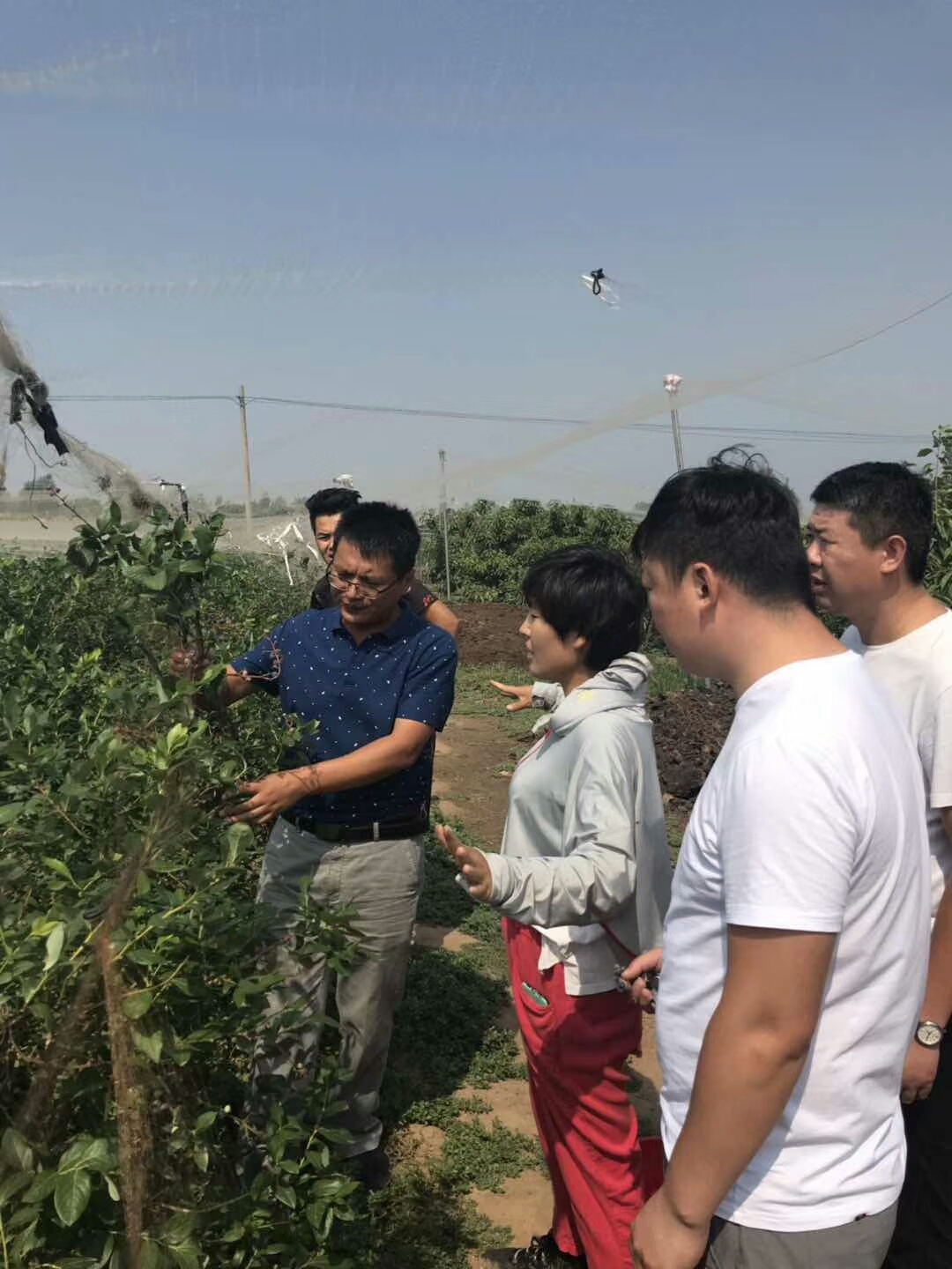 山东邹城市多少人口_山东邹城市乐绘马然