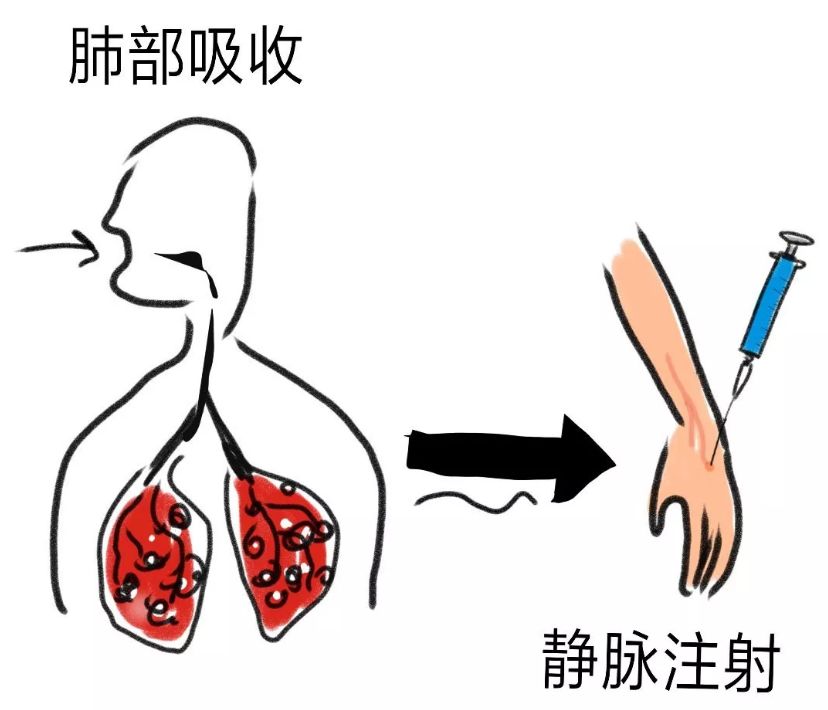 从pm2.5,学药物雾化吸入