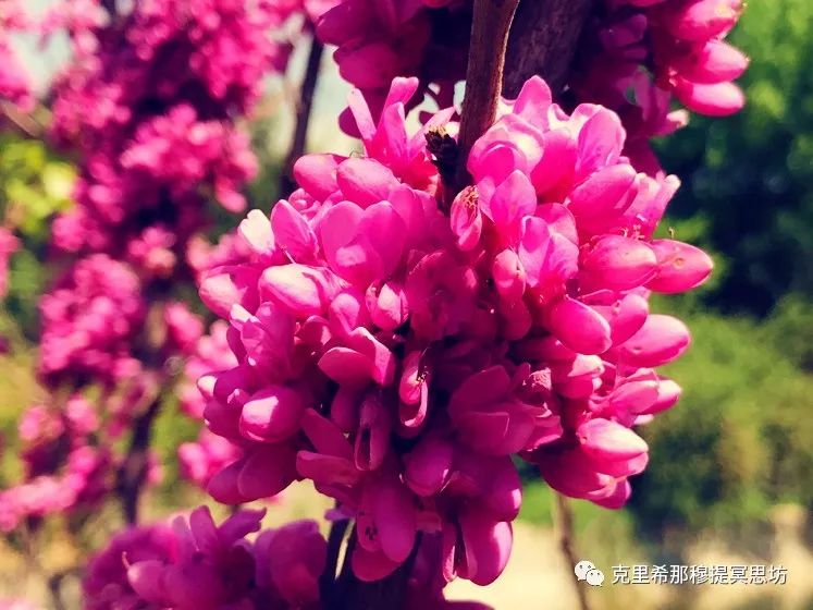 【言谈录】心必须清空自己,清空过去的一切