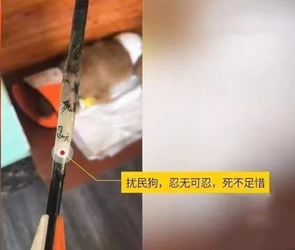 两用复合弓搭箭点怎么绑_复合弓爆箭图片(2)