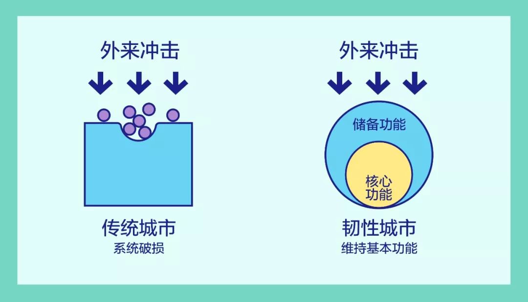 韧性是如何形成的 5ac3eea064fd4f41904f6498be5cee1c.jpeg