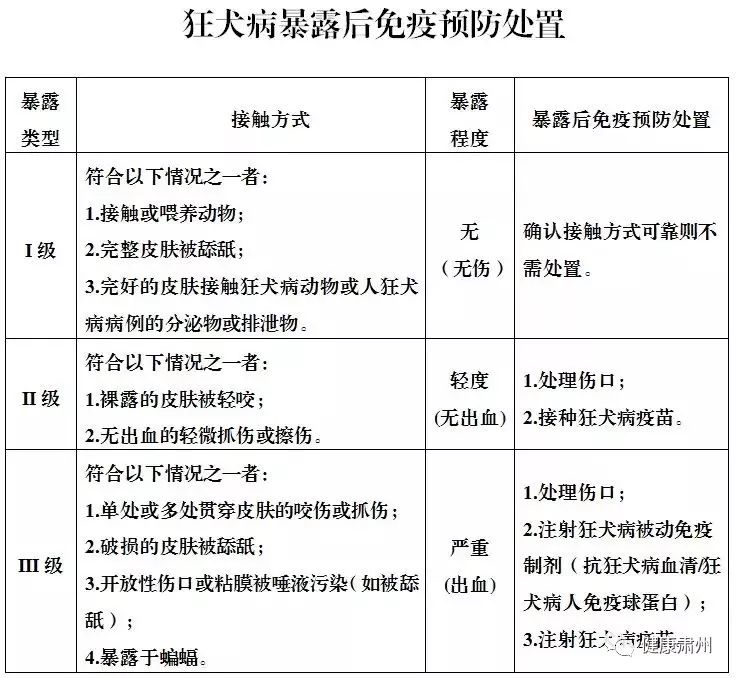 狂犬病疫苗的注射