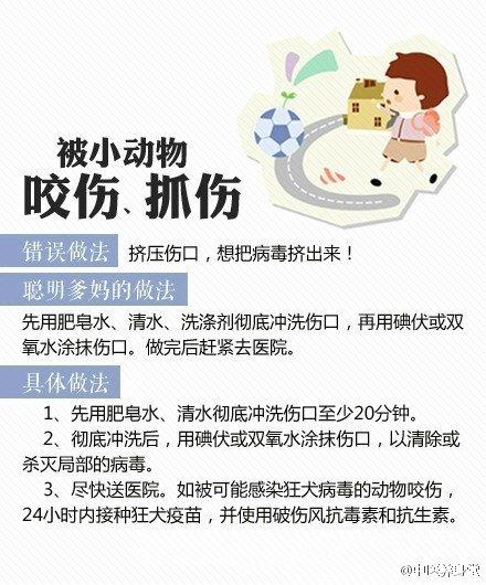 新手如何正确打窝 5e5e14baccf247af9151e254cbeda78e.jpeg