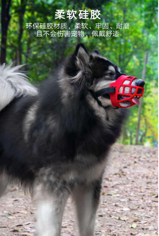 5effa9d7d7d5400d9a38e700d3c05ce1.png