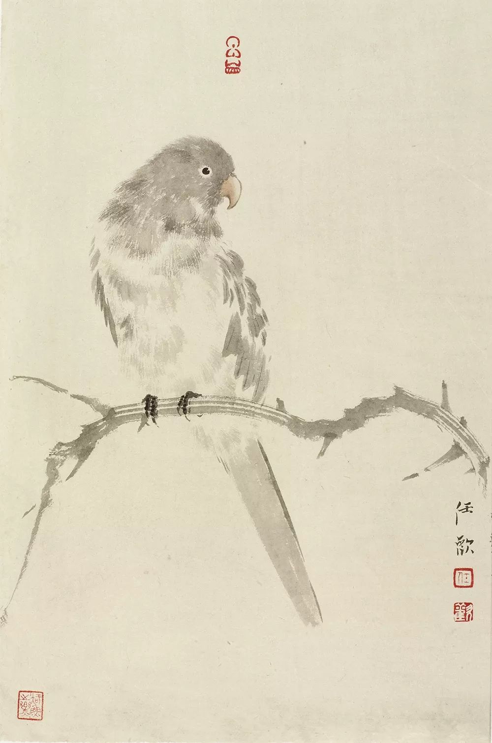 通透清雅 冷逸温文 中国花鸟画家 任欢