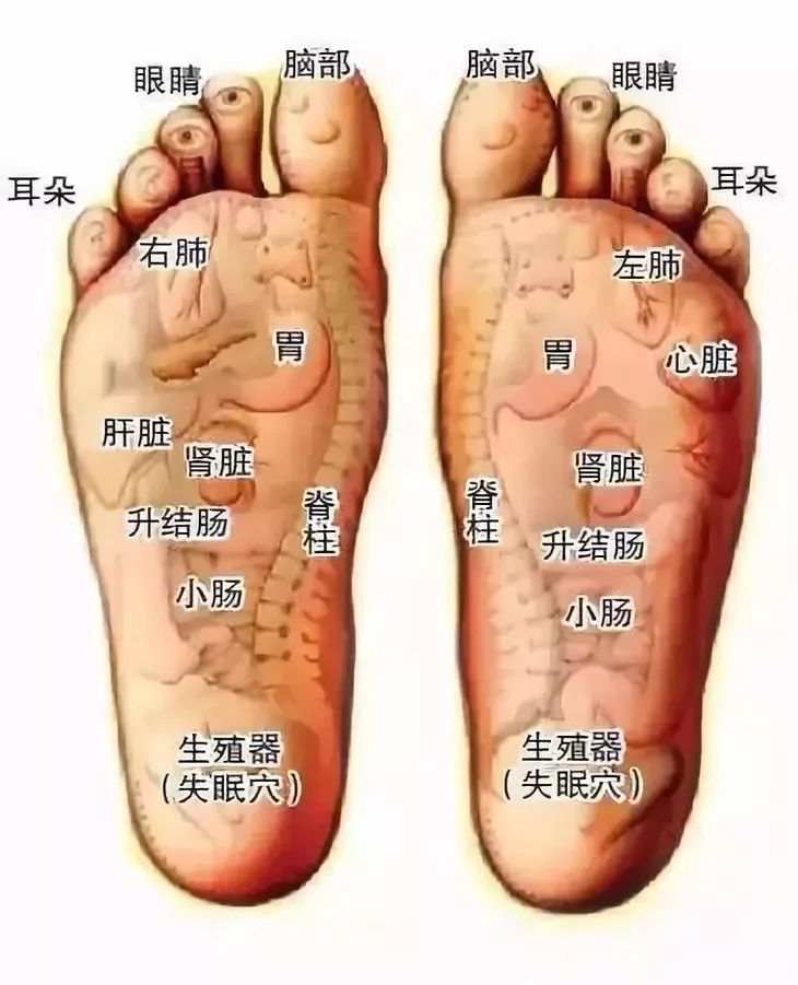 64a35668688f4391996445ae95505ba8.jpeg