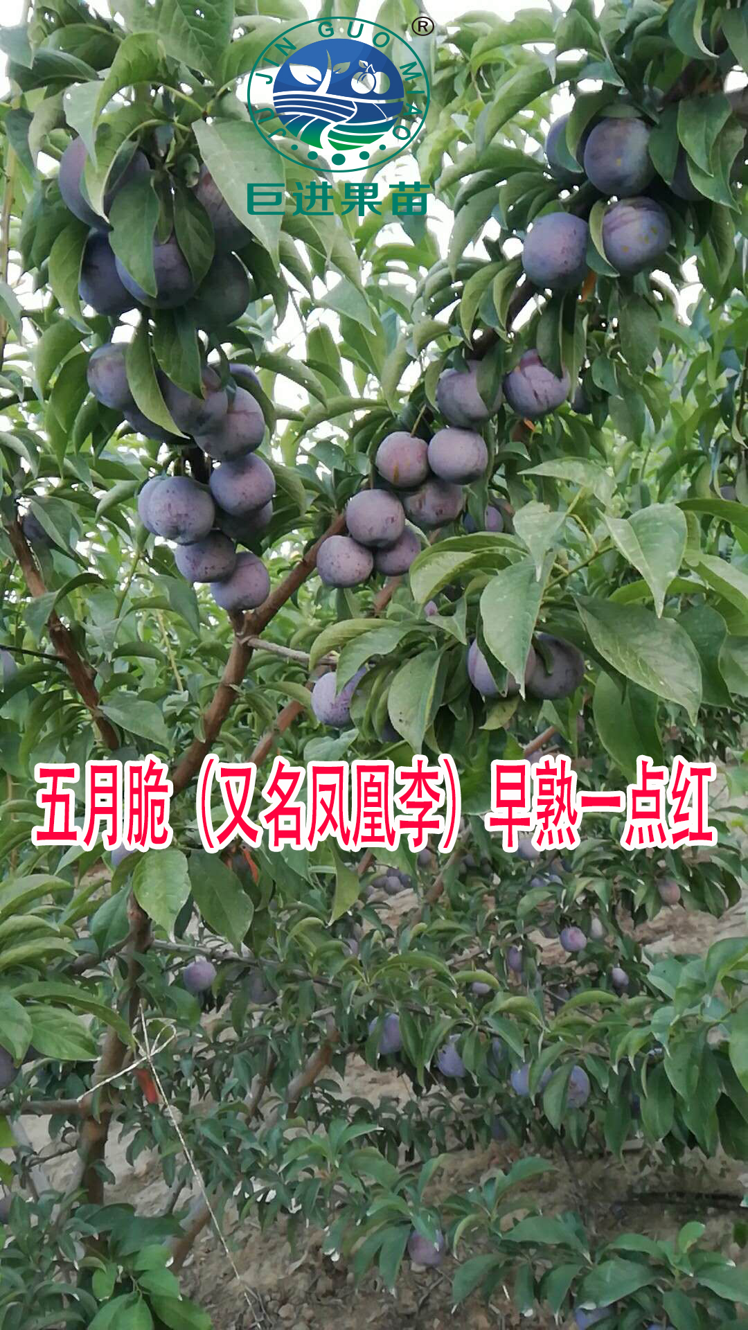 7630dc1186ac463089d2f5f14d5b7a8c.jpeg