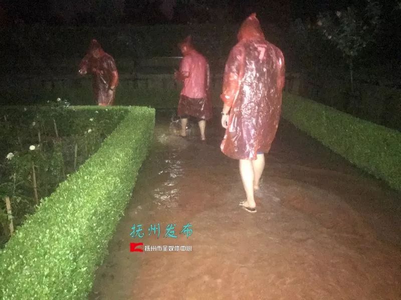 抚州市区人口70万_抚州市区(3)