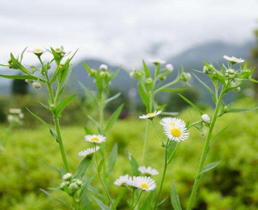 去年时运不济,猪年下半年运势逆袭,财路猛涨,必