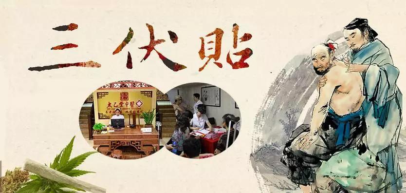 三伏贴适应症