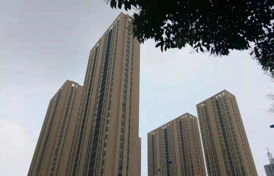 多位枣庄网友向省委书记留言反映新城东方一号楼盘问题,获得答复!