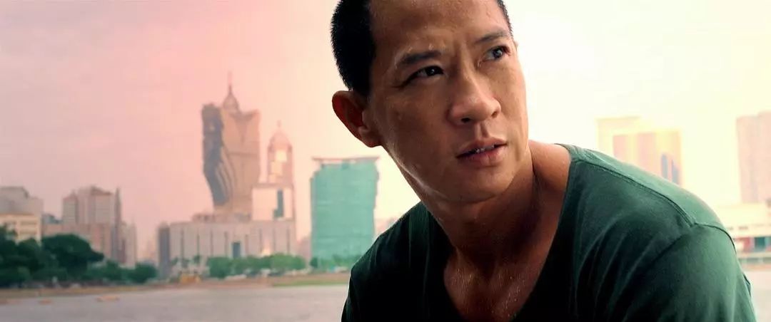 《激战》(2013)这样的例子令人联想起《摔跤吧!