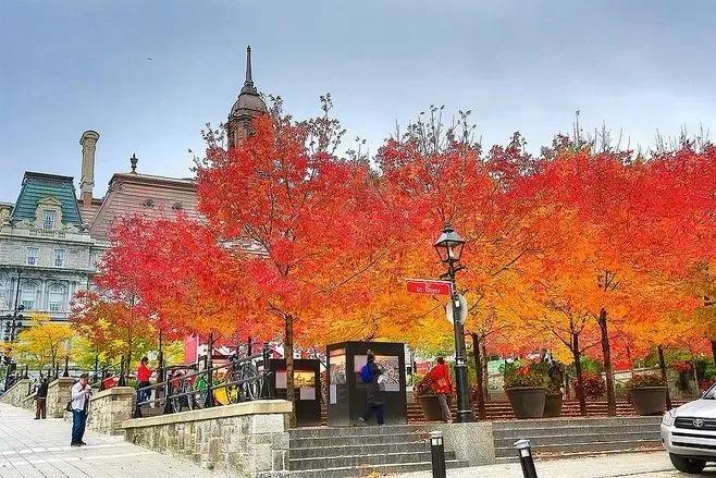 韩国2020gdp前十_韩国男士发型2020新款(3)