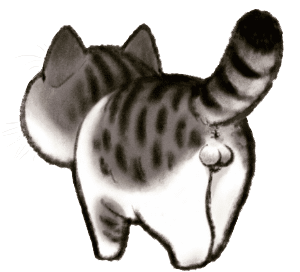 猫咪绝育这8大传闻,你都知道真相么?