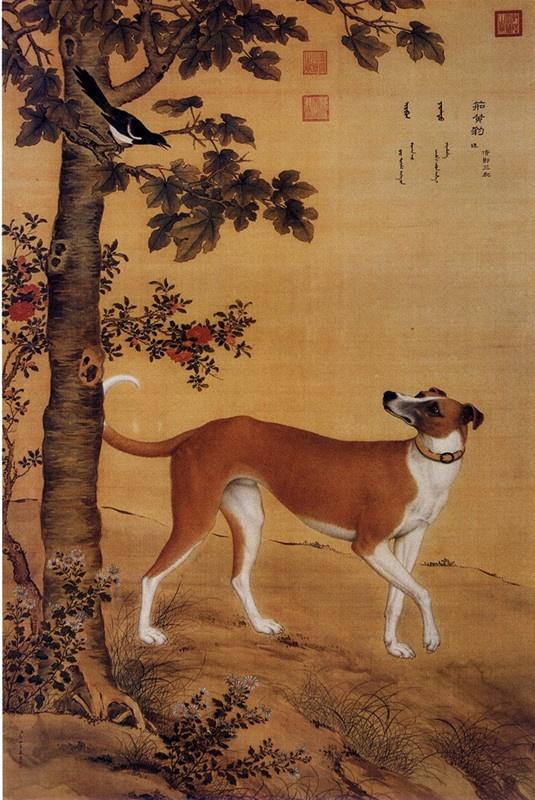 清代宫廷画师笔下的《十骏犬图》，乾隆皇帝的爱犬原来长这样啊_搜狐网