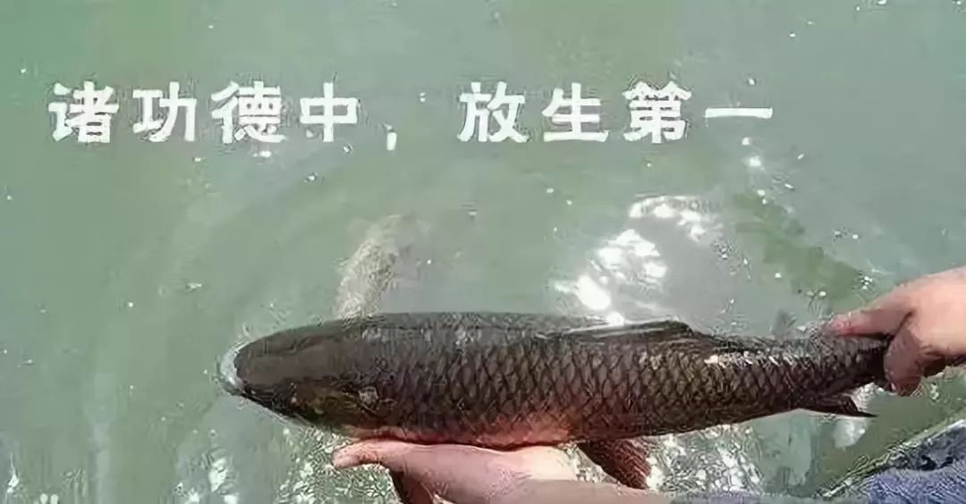 b254e05adce44ef89c8fb08ff557ca92.jpeg