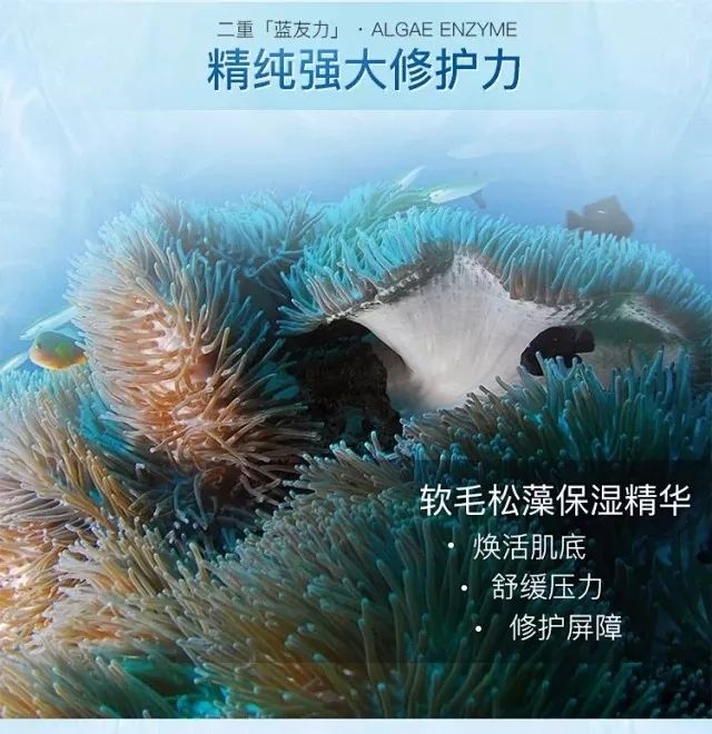                     一把理想的餐椅，娃会主动爬上去，还不肯下来！还有大风纸尿裤哦~