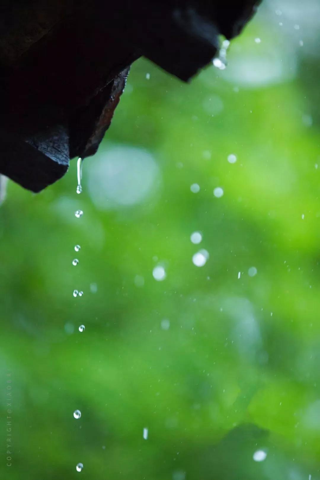 读一阕好字 艺人|王俊雄 文字|谁最中国 摄影|网络 编辑|细雨 听雨