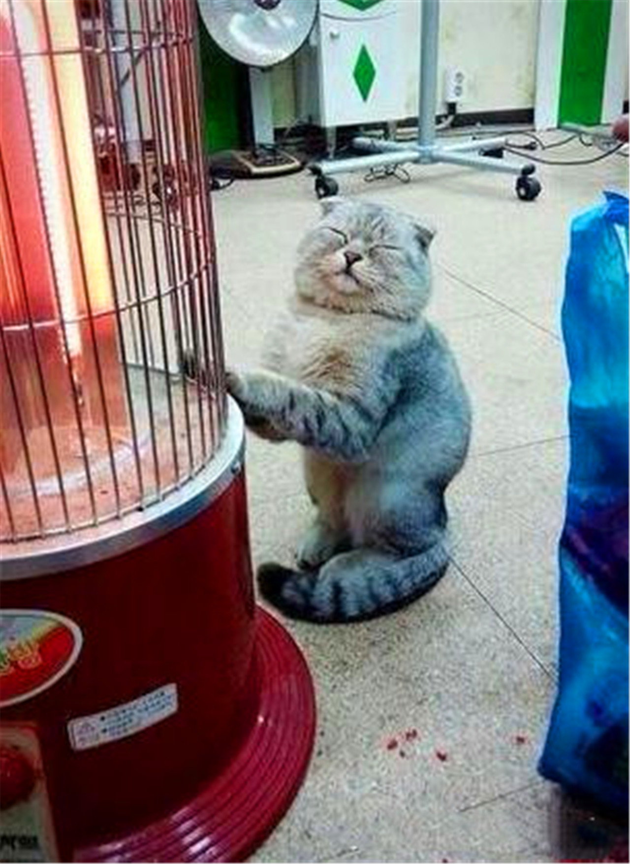 猫咪在取暖器篇暖爪子,看这满足时陶醉的表情,真是太可爱了